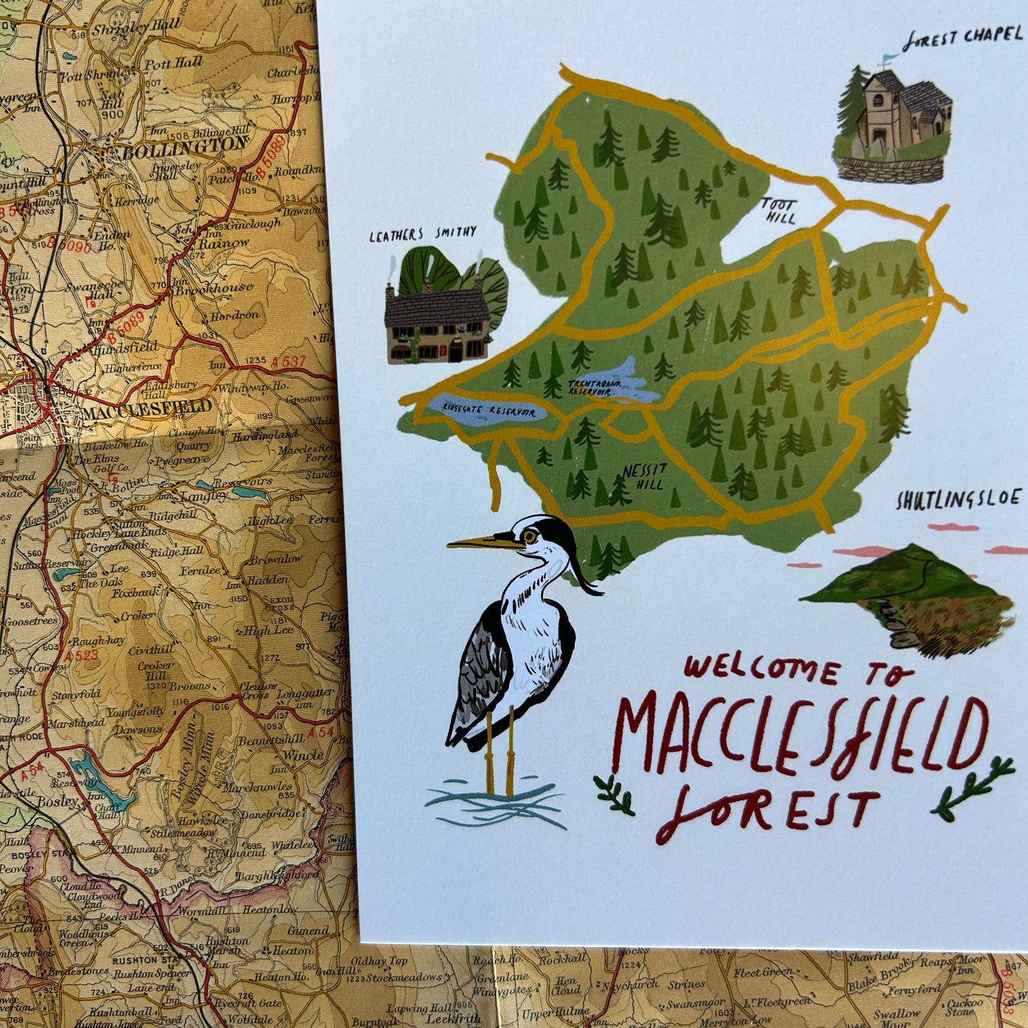 Macclesfield forest map postcard