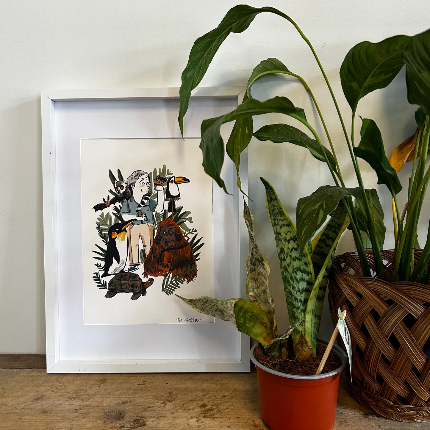 Sir David Attenborough print