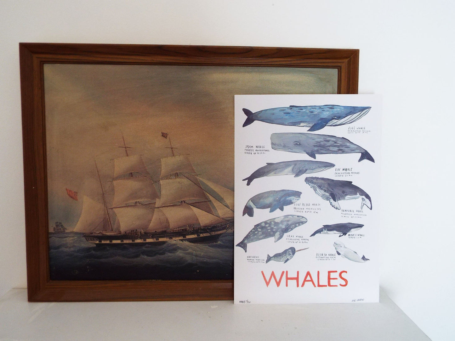 Whale Poster