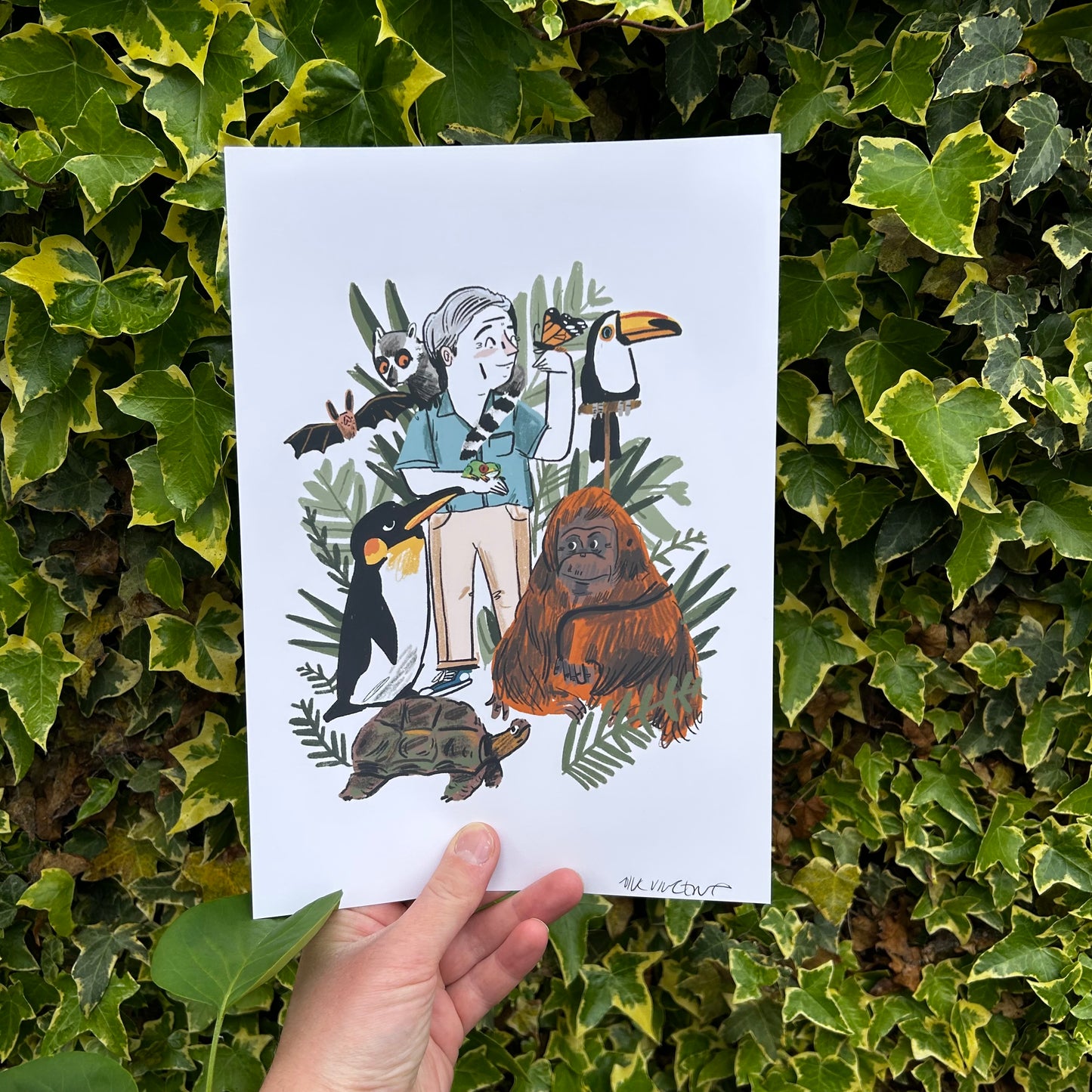 Sir David Attenborough print