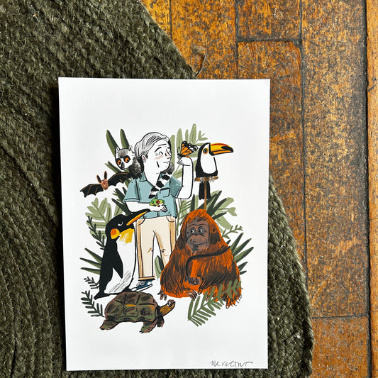 Sir David Attenborough print