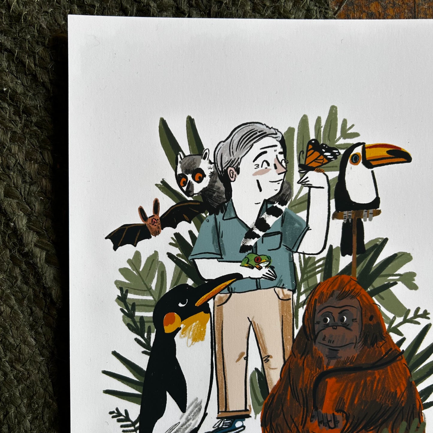 Sir David Attenborough print