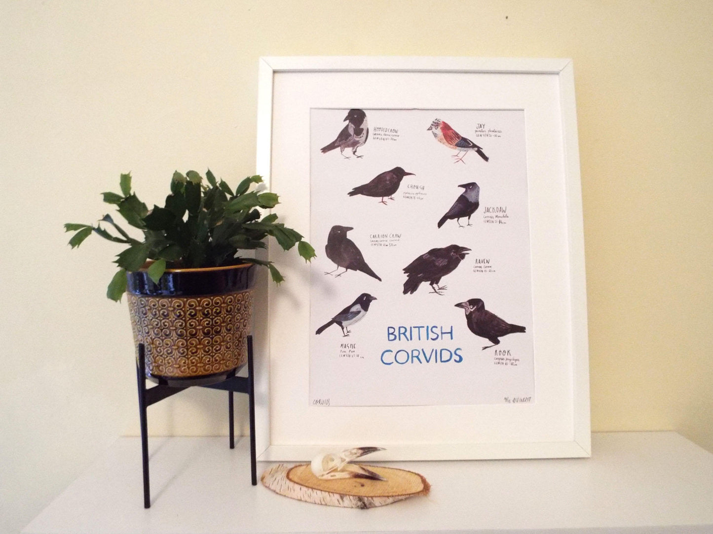 A3 Corvids Birds Poster