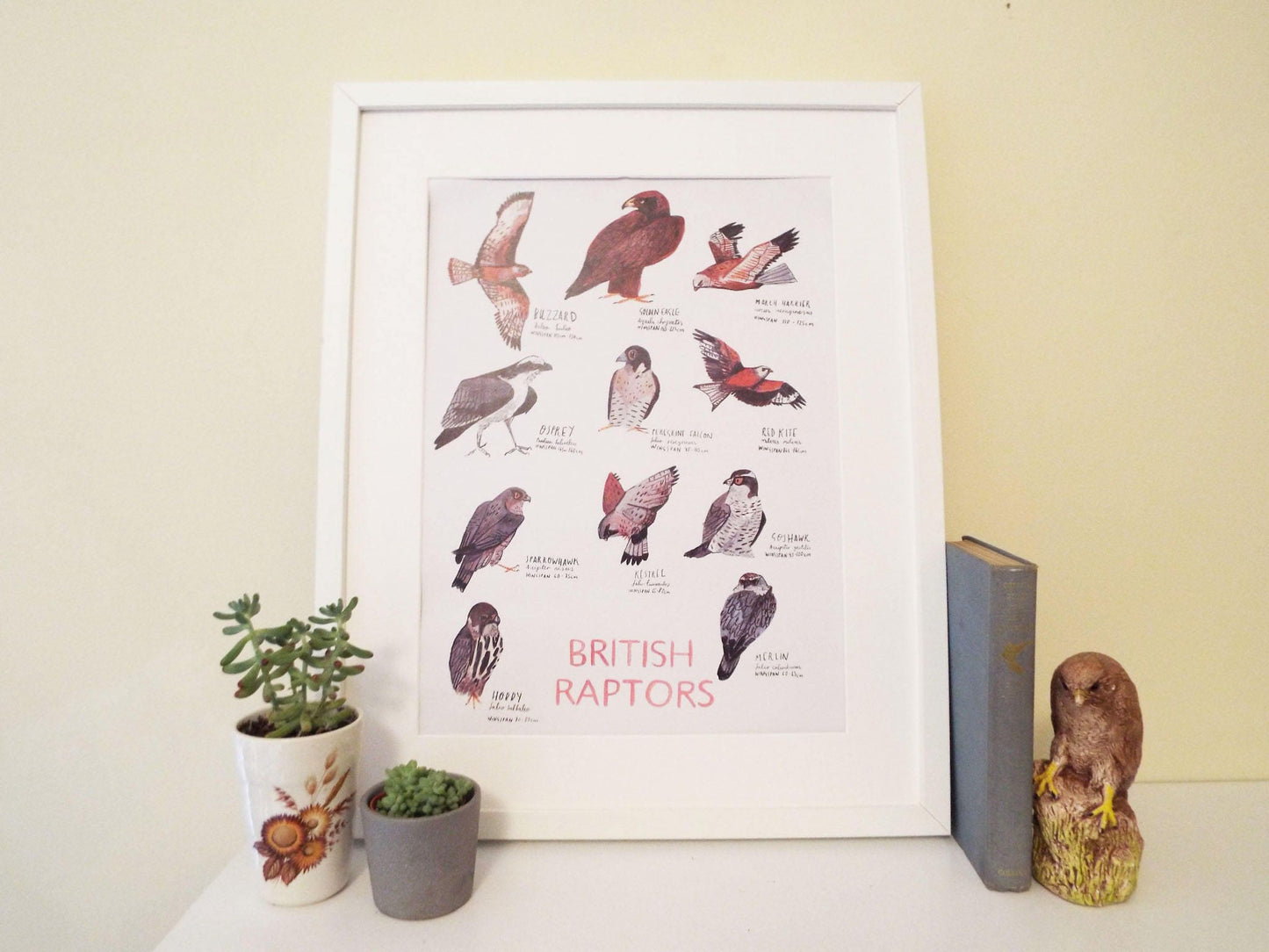 A3 British Raptors Poster