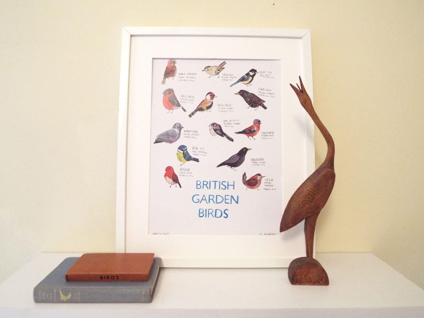 A3 British Garden Birds Poster