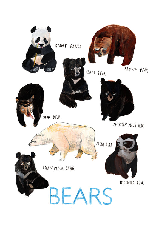 Bear Poster