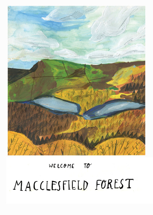 Macclesfield Forest print