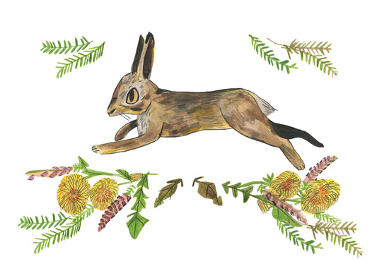 NEW// Hare print